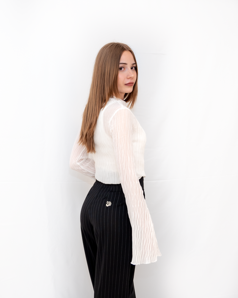 Pantalone Palazzo Gessato